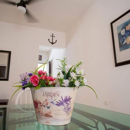 コスメル Casa Itzamnaヴィラ エクステリア 写真
