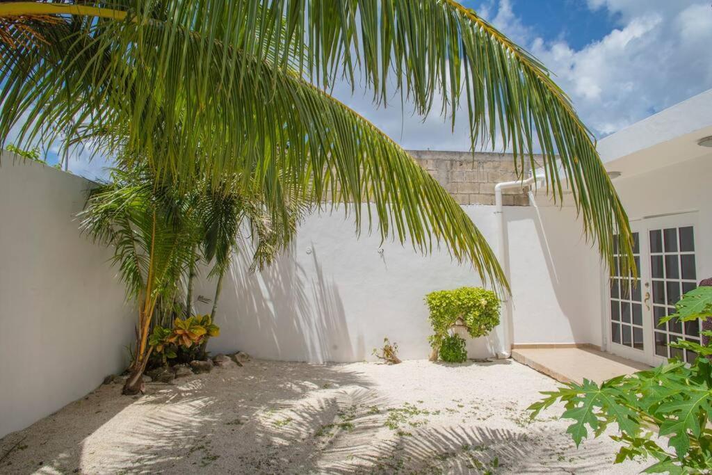 コスメル Casa Itzamnaヴィラ エクステリア 写真