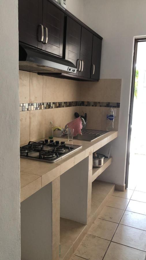 コスメル Casa Itzamnaヴィラ エクステリア 写真
